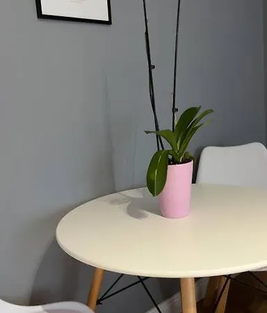 Apartment Bee 3-city Center Retreat *